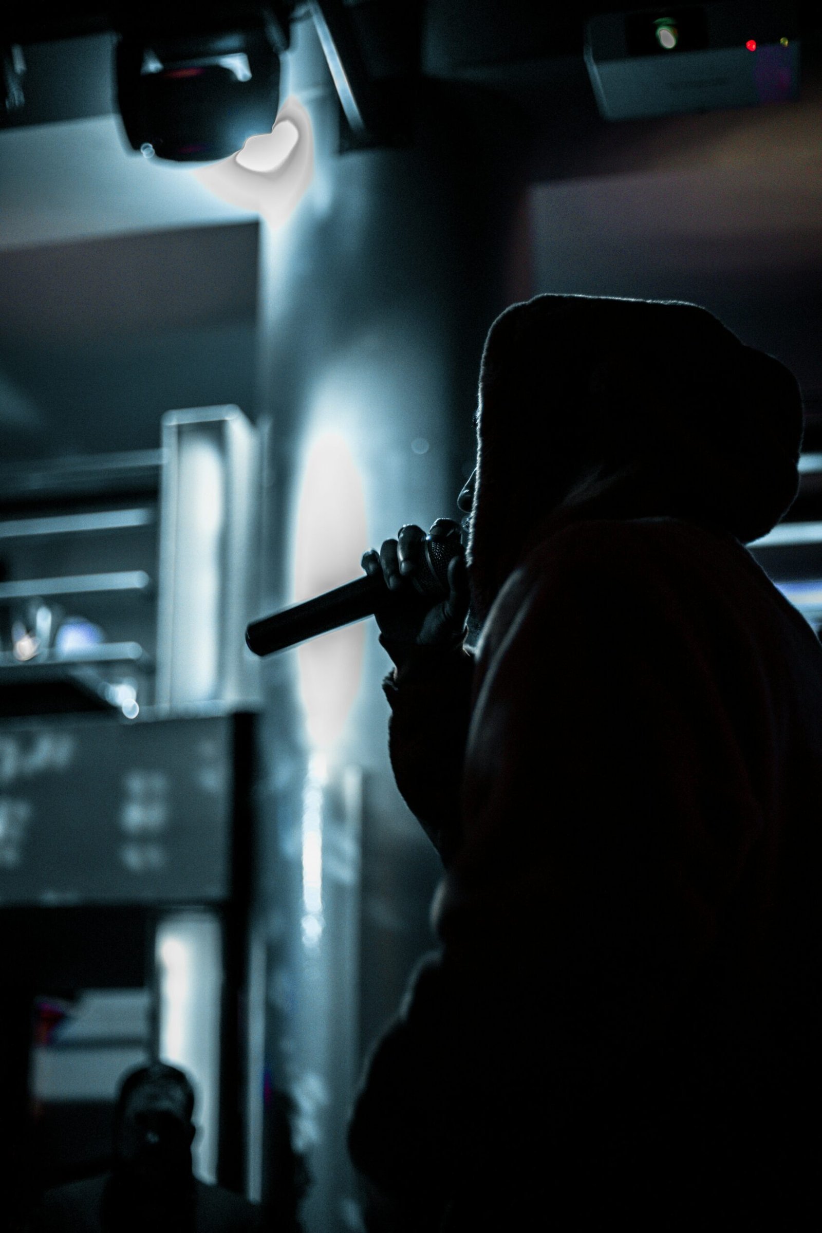 person in standing position while holding microphone